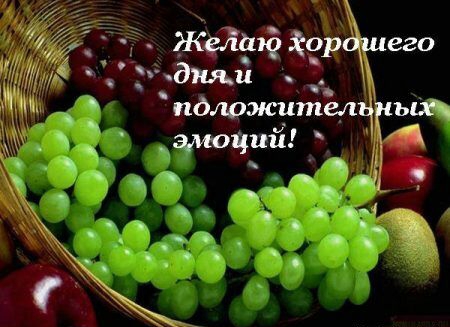 _ ЖеЛаю ор его дми пддоэюительтгьщ эмочуй 41