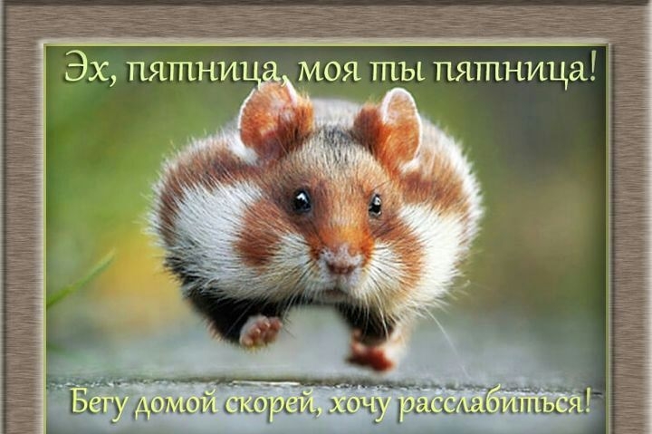 ЁЩ УАш _ _ ч Шэгги Цчу РГ _ _ Ці