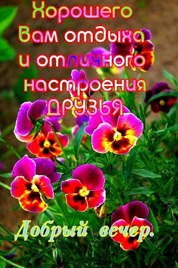 Норошего Бом отдыяёепі гп