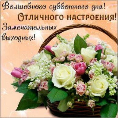 Вшшвбнодо одбботнеао нгж тличного ндстровния Замечатшыых