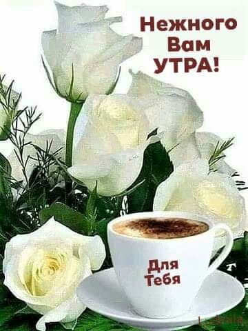 Нежного Вам УТРА