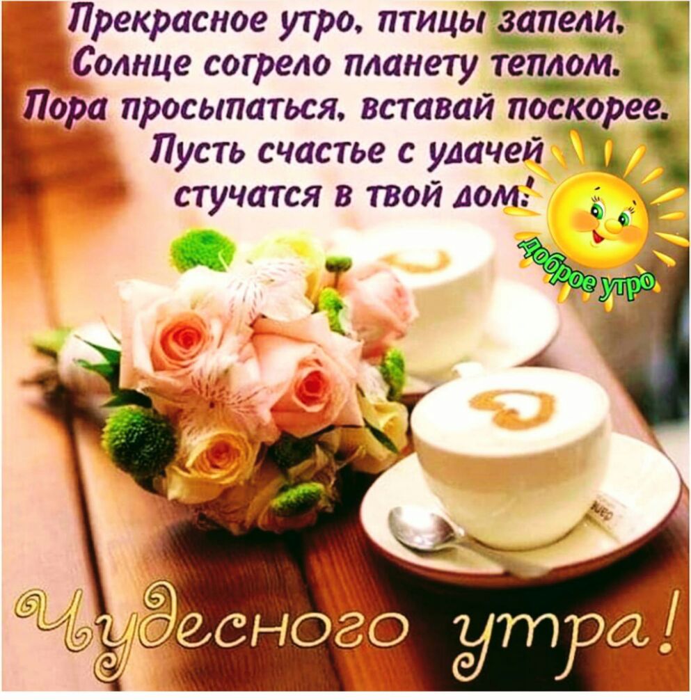 Солнце согрело планету теплом Пора просыпаться вставай поскорее Пусть счастье с удачей стучатся в твой лом __ а Прекрасное утро птицызапели 4