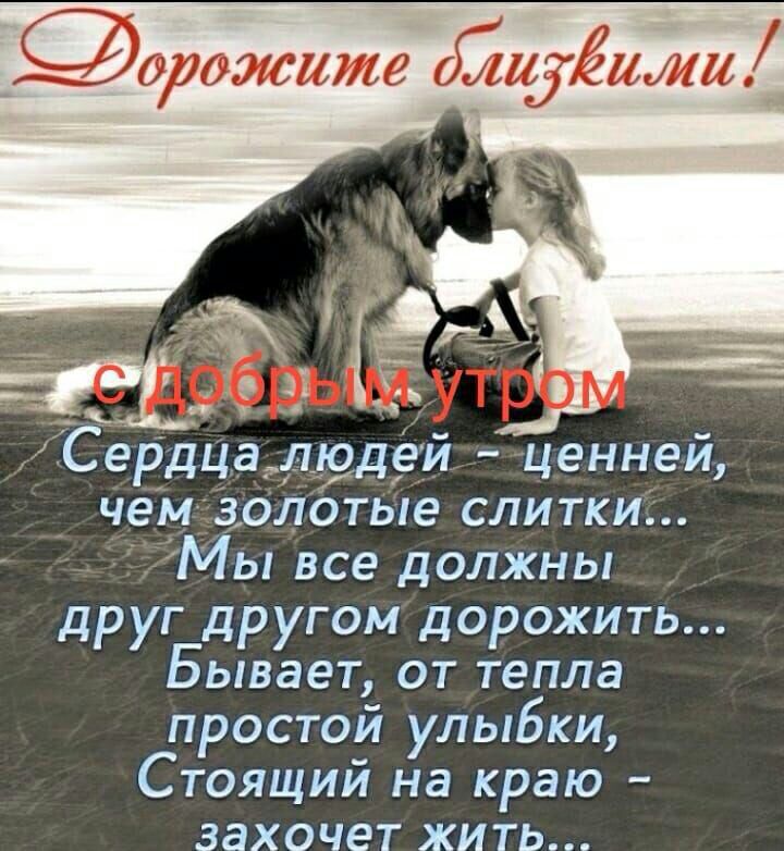 орожише ГЛИЗЁИЖЦ __ _ д __ т 9 Сердцад___г9д9й ценней чем зол0тые слитки Мы все должны друг другом дорожить Бывает от тепла простой улыбки Стоящий на краю захочет жить дй