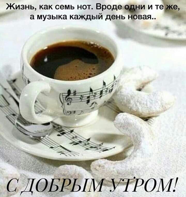 Жизнь как семь нот Вроде и и теч а музыка каждый день _ вая СДЬБЁЫМЖРОМ