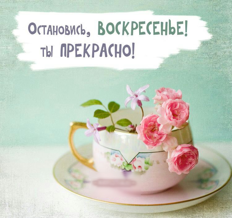 0тяновиь ВОСКРЕСЕНЬЕ ты ПРЕКРАСНО _ я ч к