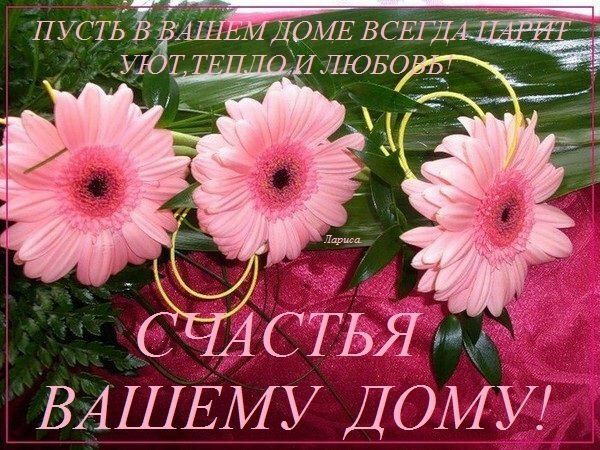 СТЬЯ ВАШЕМУ ДОМУ