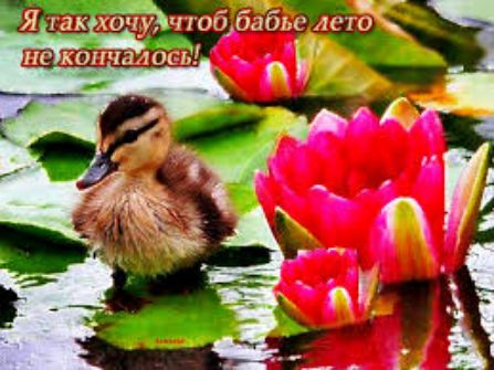 ч Я хакх очі чтбд бабы мю