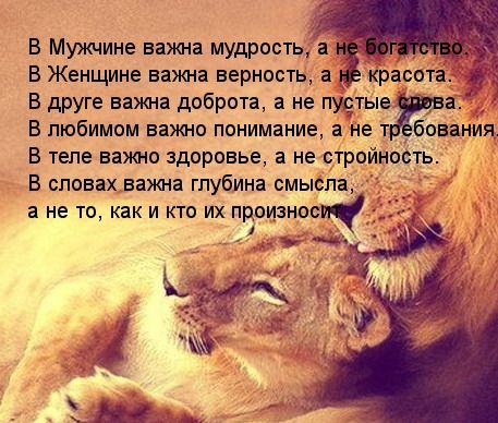 Б Мужчине важна мудрость а В Женщине важна верность а красота _ В друге важна доброта а не пуетые а бования Б любимом важно понимание а не т В теле важно здоровье а не стройн В словах важна глубина смысла ость а не то как и кто их произност _ 1 ч