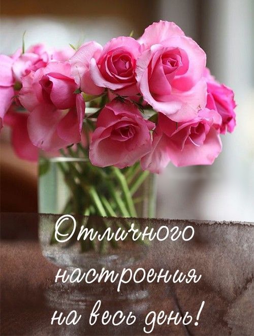 г тмшщого ниатродюия юа 140017 90