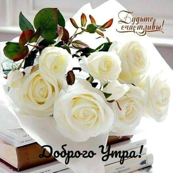 Г дрдите ЧЗЁЩ