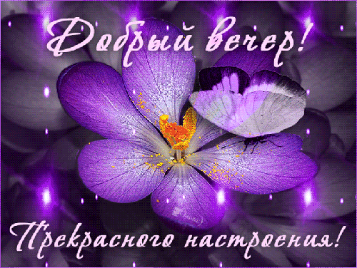 с иском даст дети Ш Р ц
