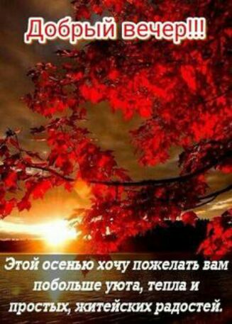 хачу пожшп ии уши те тйтпрддоті