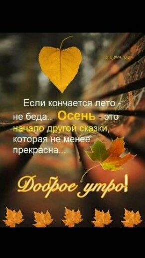 М М щ кг г а к