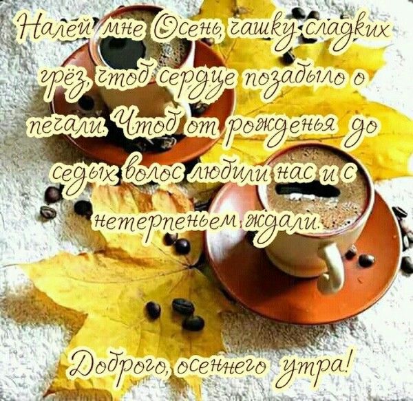 гетёр