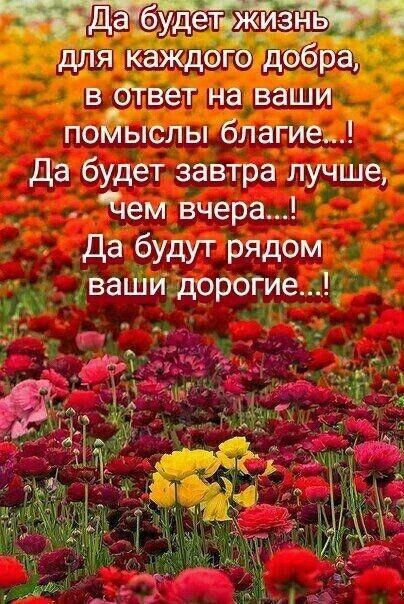 для каждого доёра в ответ на ваши помыслы благие Да будет завтра лучше Цем вчера Да будут рядом ваши дорогие