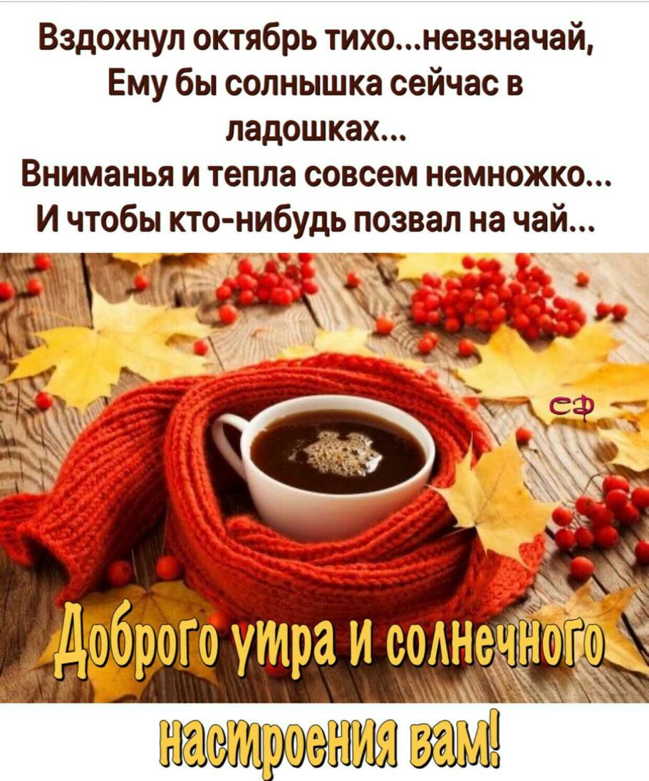 Вздохнул октябрь тихоневзначай Ему бы солнышка сейчас в ладошках Вниманья и тепла совсем немножко тра и