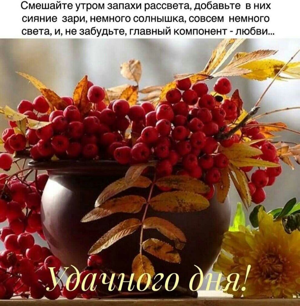 Смешайте утром запахи рассвета добавьте в них сияние зари немного солнышка совсем немного света и не забудьте главный компонент любви __ Удачного __ _АА_
