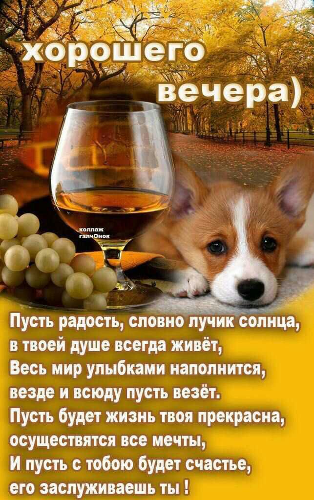 хор он егр вечера Пусть радость словно лучик солнца в твоей душе всегда живёт Весь мир улыбками наполнится везде и всюду пусть везёт Пусть будет жизнь твоя прекрасна осуществится все мечты И пусть с тобою будет счастье его заслуживает ты