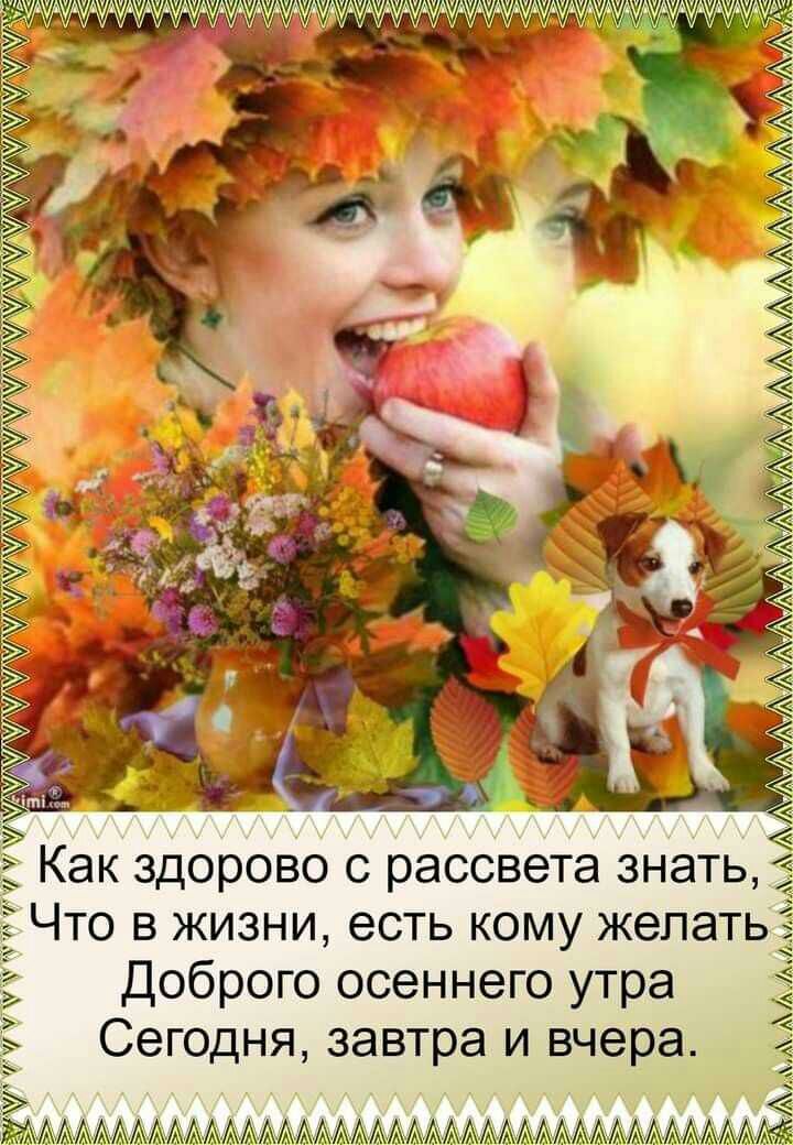 Как здорово с рассвета знать Что в жизни есть кому жепат Доброго осеннего утра 5 Сегодня завтра и вчера ААААААААААААААААМААААААААААААААААМЬЁ