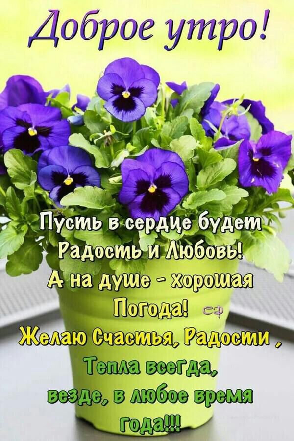 Доброе утро