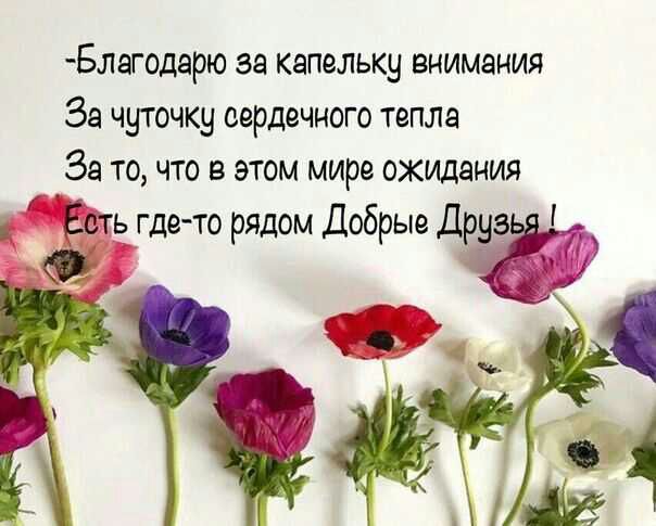 Благодарю за капельку внимания За чуточку сердечного тепла За то что в этом мире ожидания Есть где то рядом Добрые Друга