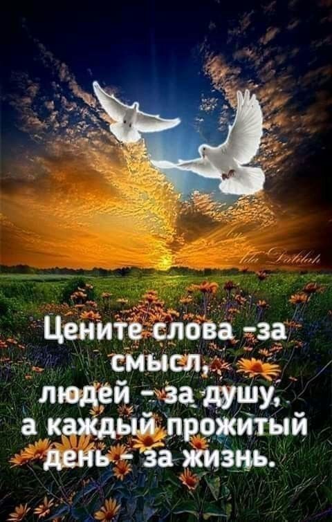 Ценитеслова _ сМцслд _ людей за_ ищу е_ _каясдыи прфжитый день Бажизнь _