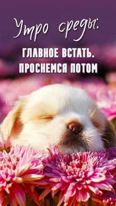 0 01 ГЛПЕ ВППЪ ПИШЕМ МП