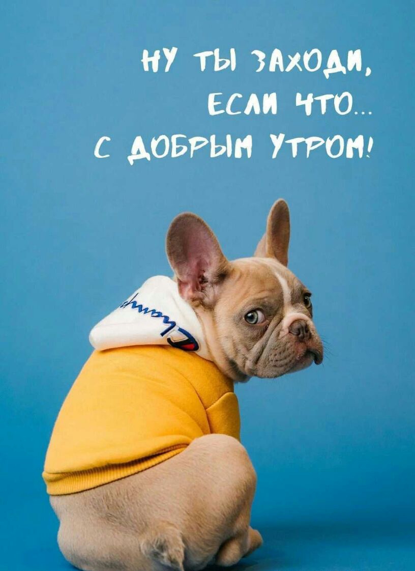ну ты мхом если что довгын ттт