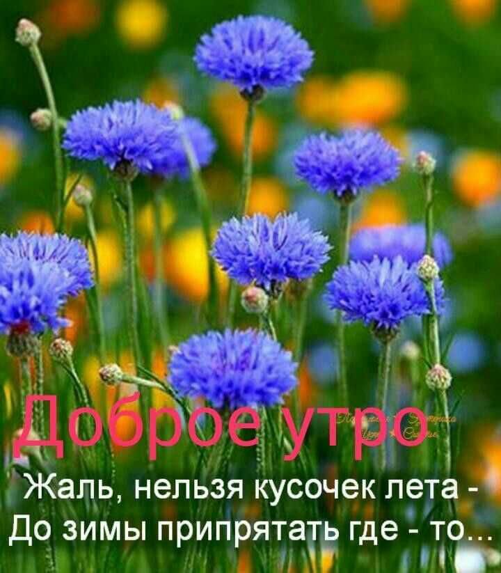О Ь і Жаль нельзя кусочек пета До зимы припрятать где то