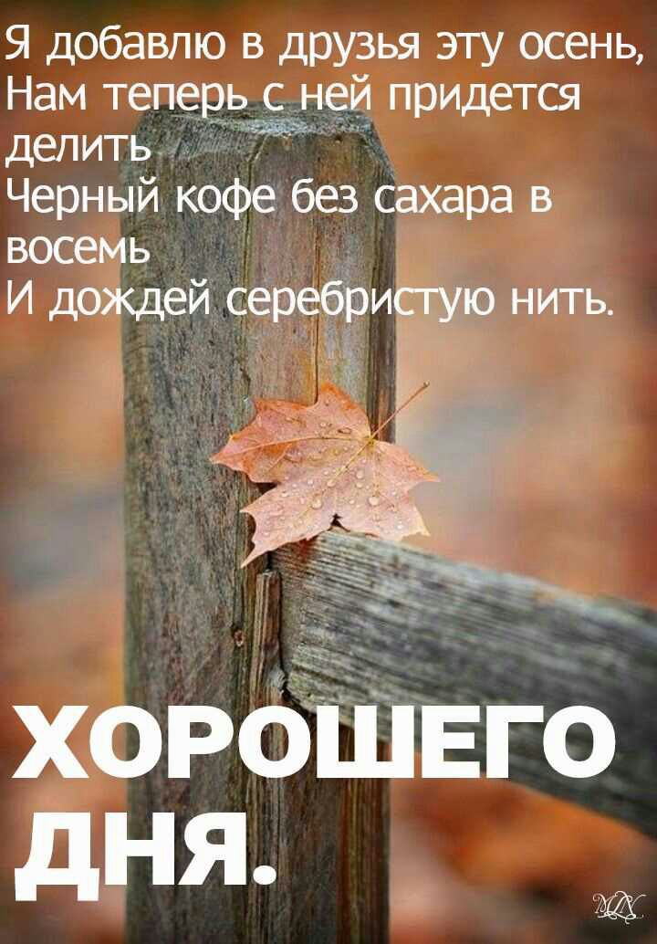 Я добавлю в друзья эту осень Нам теперь гей неи придется делить _ Черный кофе без сахара в восемь И дождей серебриСгую нить ХОРОШЕГО дня