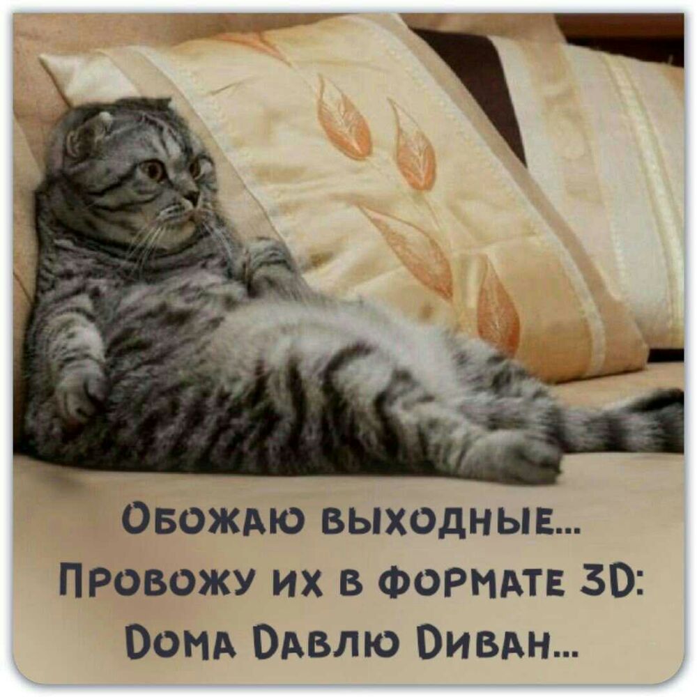 Овождю выходныв ПРовожу их в ФоРМАтв 30 Бом ОАвлю Оивдн