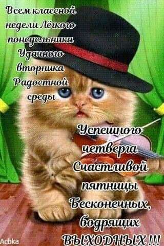 В сам тассшгй коушиШиш