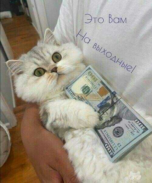 Это Бим