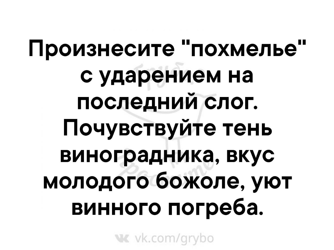 Произнесите похмелье с ударением на последний слог Почувствуйте тень виноградника вкус молодого божоле уют винного погреба