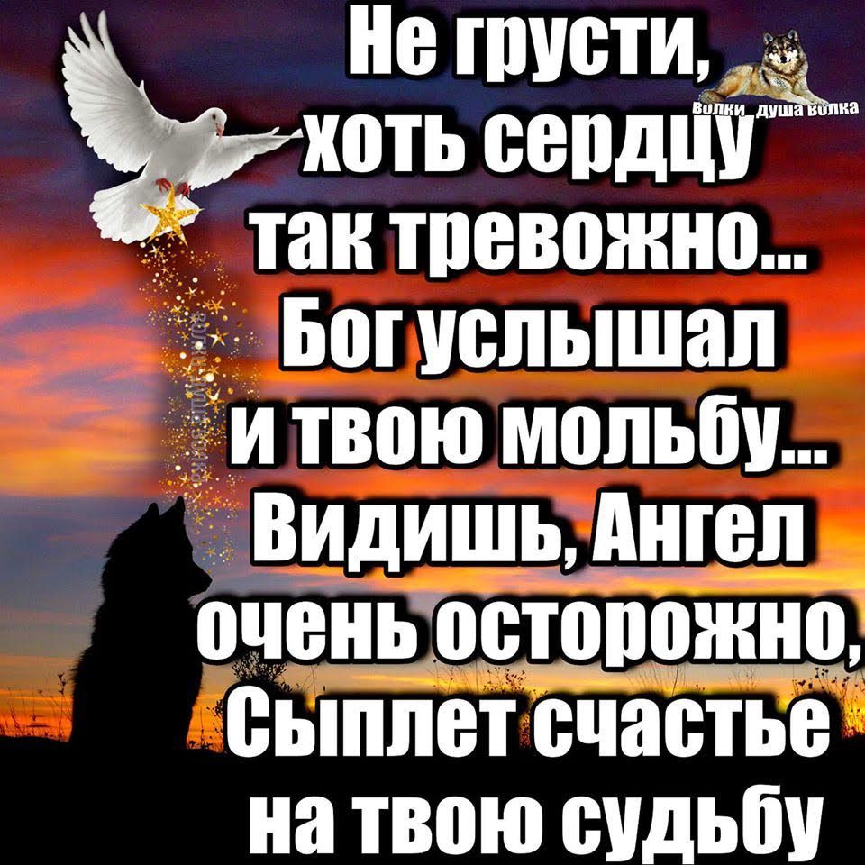 тети хоть сепдцітёй тан тпевожно Боппшышап и твою мольбу Видишь Ангел оченн оотопожнц сыплет счастье на ТВПЮ СУДЬБУ