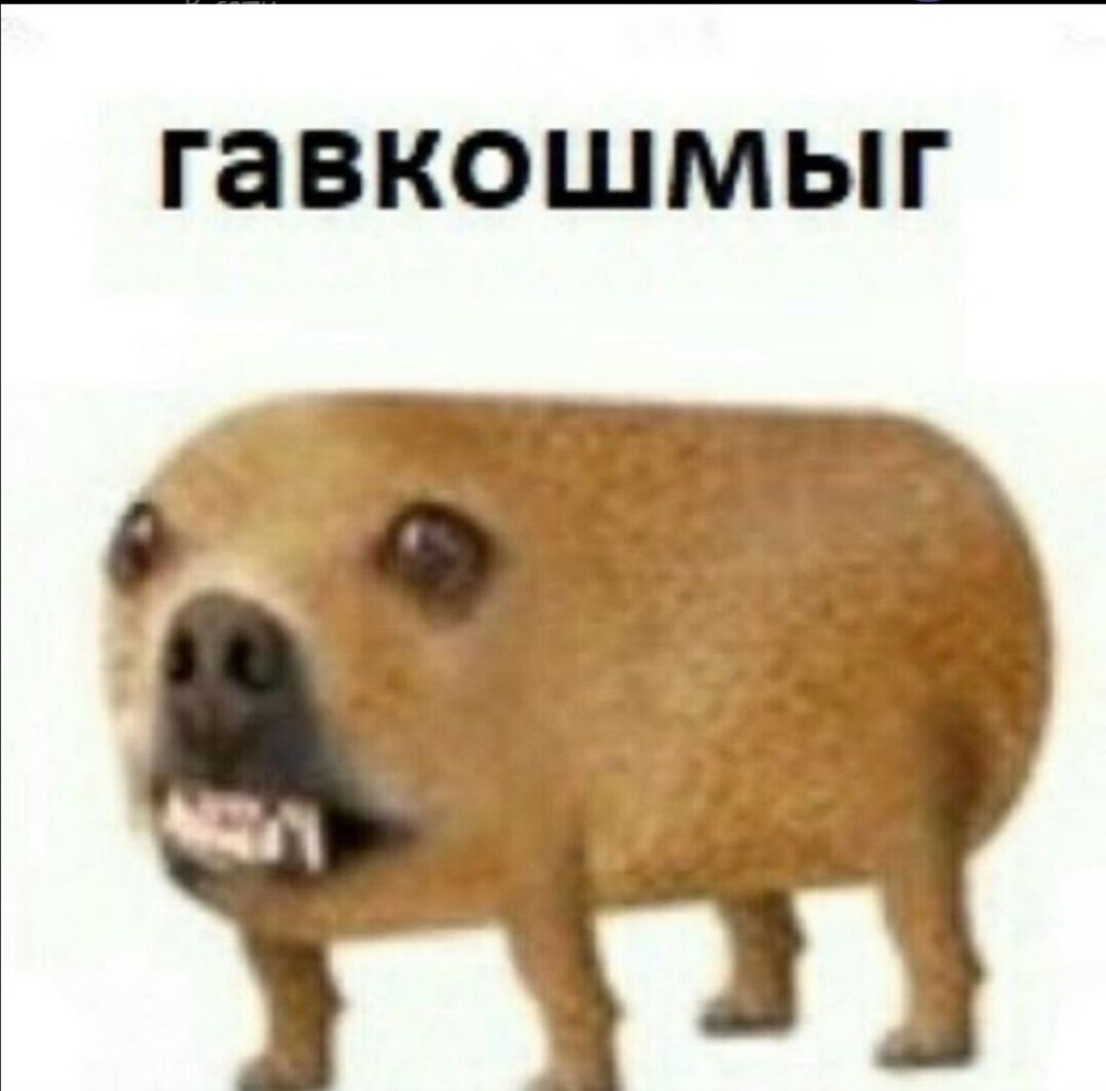 ГЗВКОШМЫГ