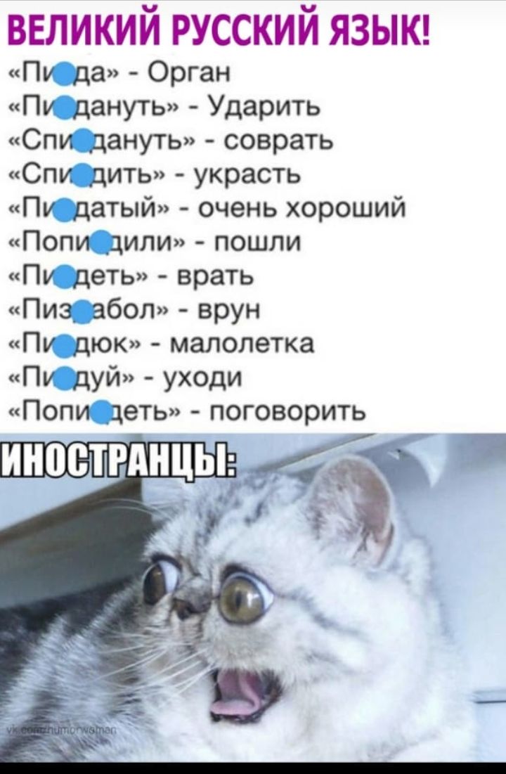 великий РУССКИЙ ЯЗЫК Пу да Орган Пу дануть Ударить Спи дануть соврать Спи дить украсть Пу датый очень хороший Попи _цили пошли Пу деть врать Пиз_ абол врун Пу дюк малолетка Пу дуй уходи Попи деть поговорить