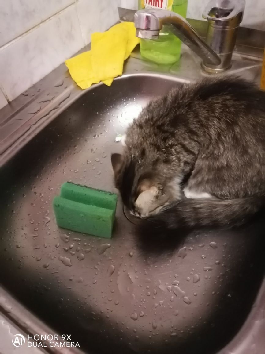 ЕКА А