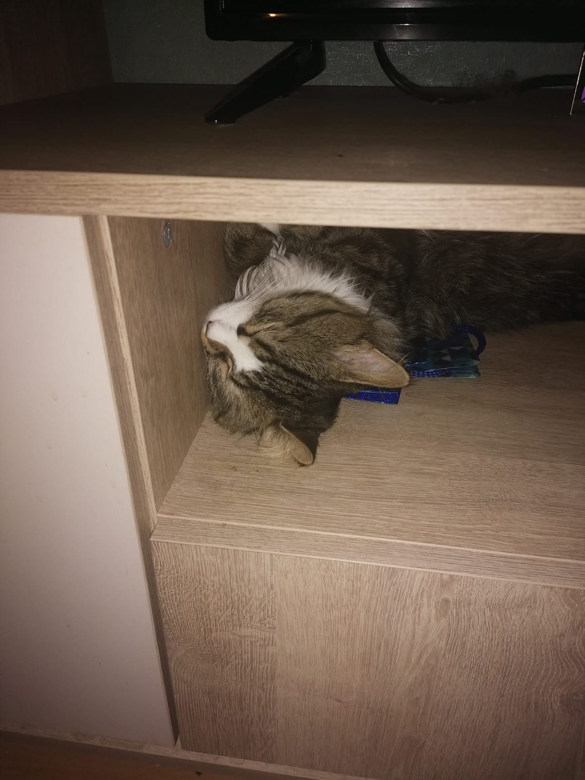Ооа