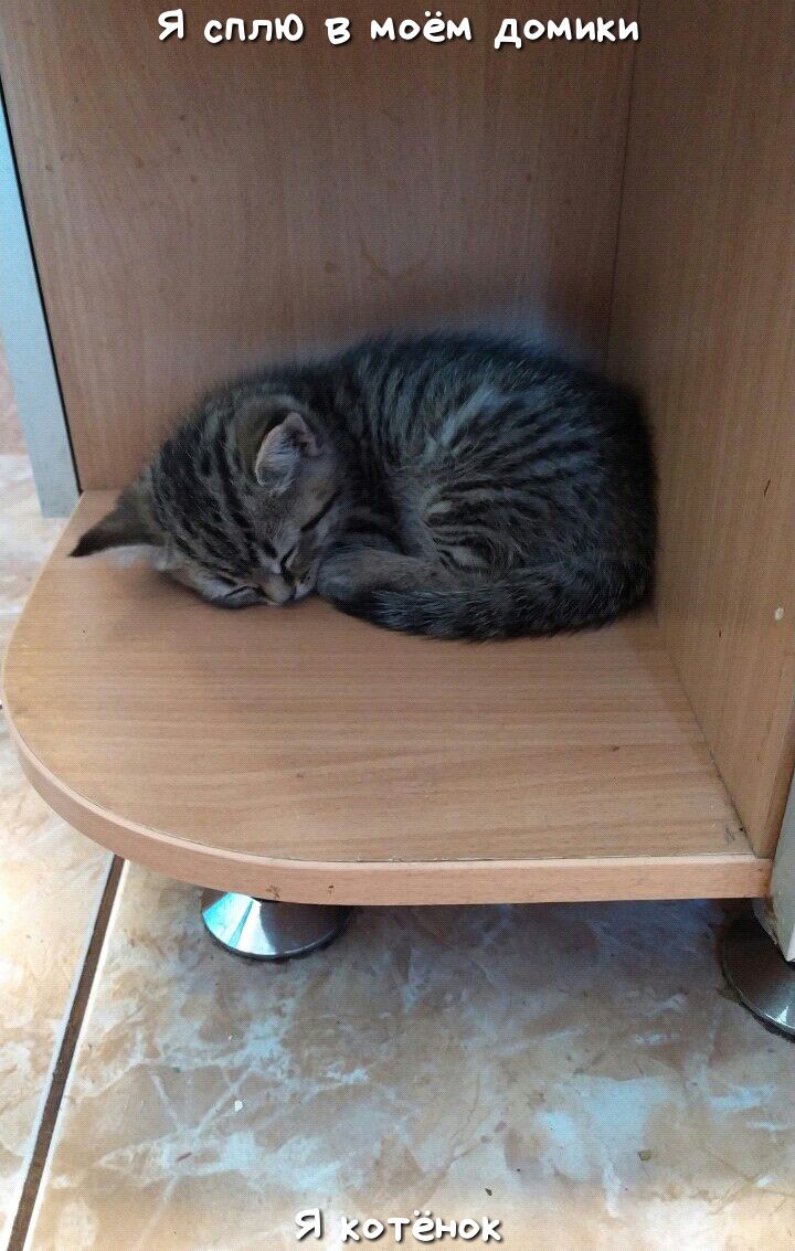 Я сплю в Моём домики