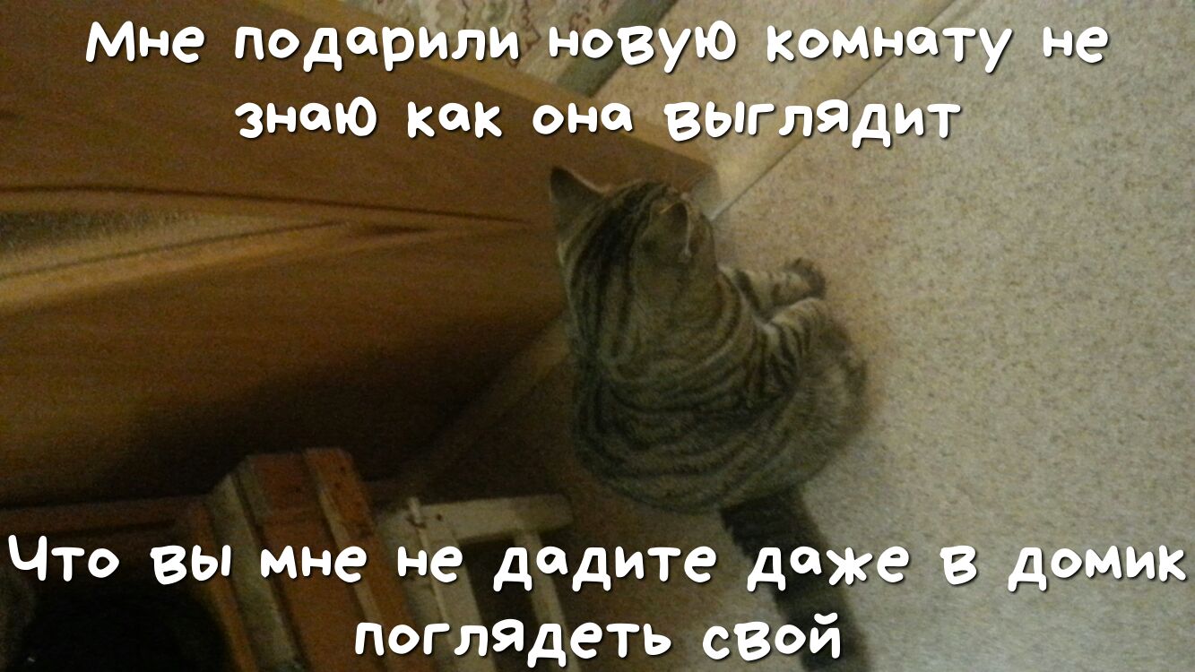г Мне подаЁтЁЁЗЁ 6 зэизідюз гу на э знаю как он Что вы мне не дадите дед поглядеть й