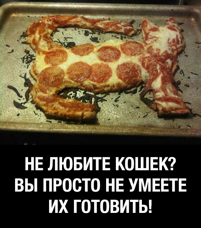 НЕ ЛЮБИТЕ КОШЕК ВЫ ПРОСТО НЕ УМЕЕТЕ ИХ ГОТОВИТЬ