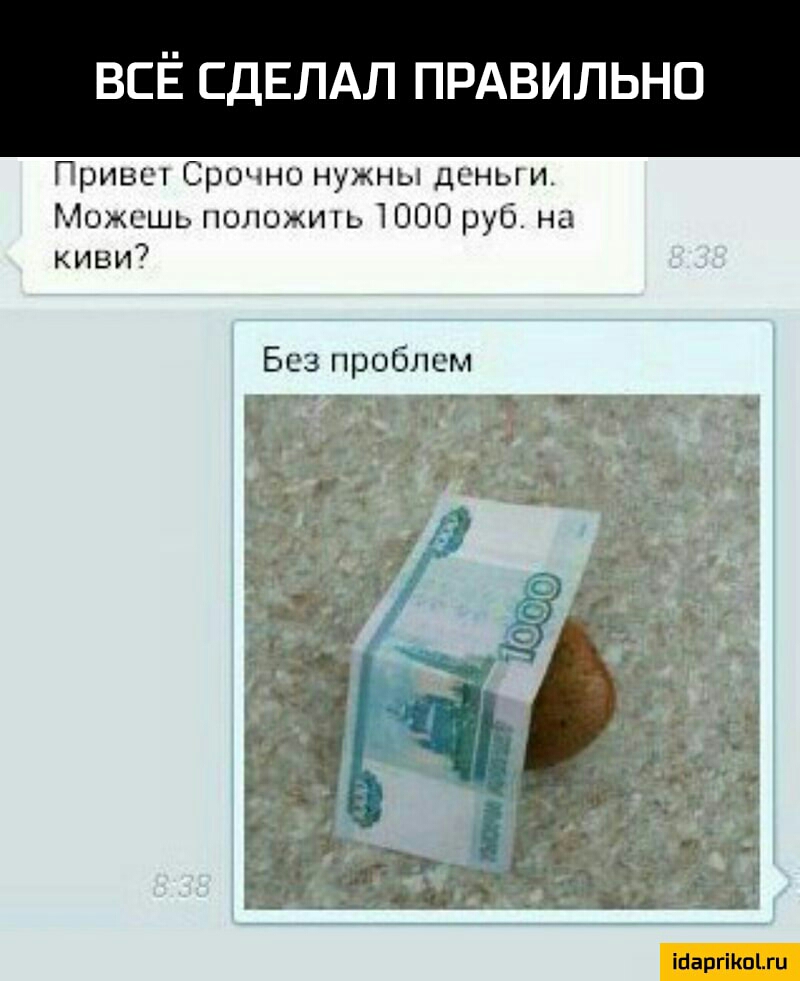 ВСЁ СДЕЛАЛ ПРАВИЛЬНО Гринс п Срочно нужны длины и Г ы10жсшыюшджшь ШЕП ругі на киви Без пробным івіаргіішыц