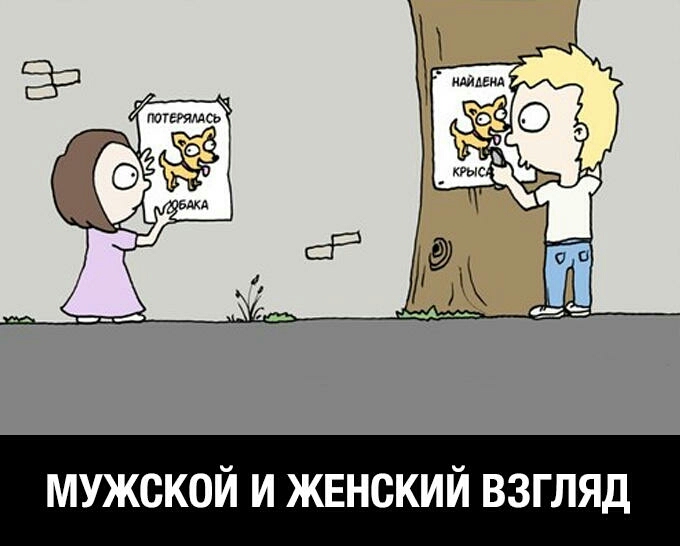 мужской и жвнский взгляд