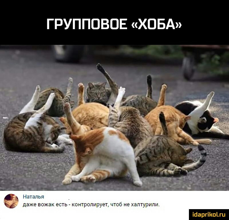 ГРУППОВОЕ ХОБА Наталья даже вожак есть контролирует чтоб не халтурипи ійаргіКпЫи