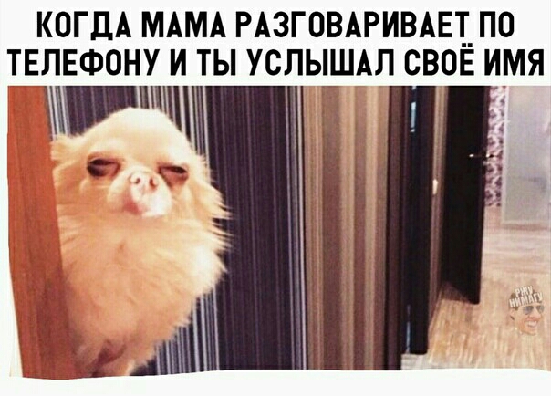 КОГДА МАМА РАЗГОВАРИВАЕТ__ ПО ТЕЛЕФОНУ И ТЫ УСЛЫШАЛ СВОЁ ИМЯ уши