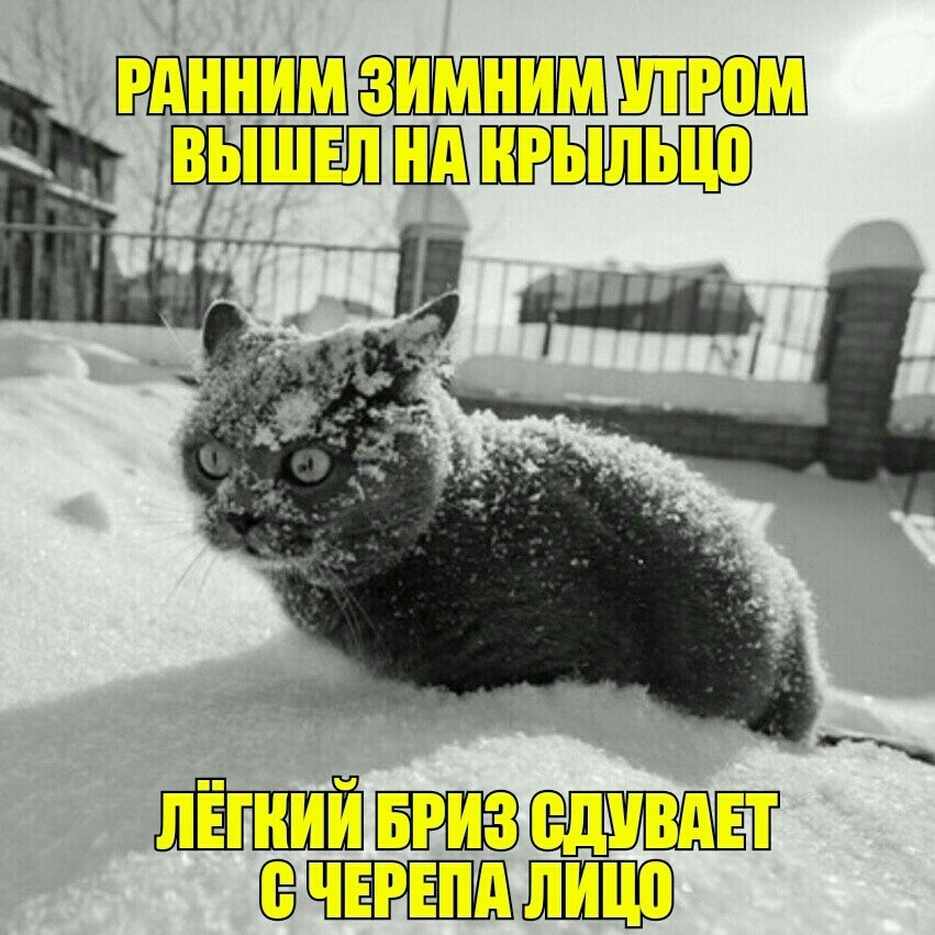 ит