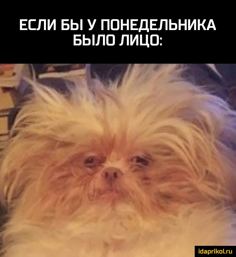 ЕСЛИ БЫ У ПОНЕДЕЛЬНИКА БЫЛО ЛИЦО