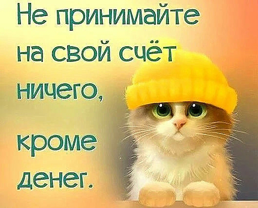 Не принимайте на свой счёт НИЧЗГО и кроме денег