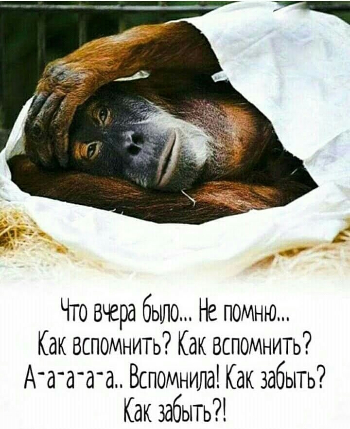 Что вчера бьшо Не помню Как вспомнить Как вспомнить Ата ао Вспомнила Как забыть Как забыть